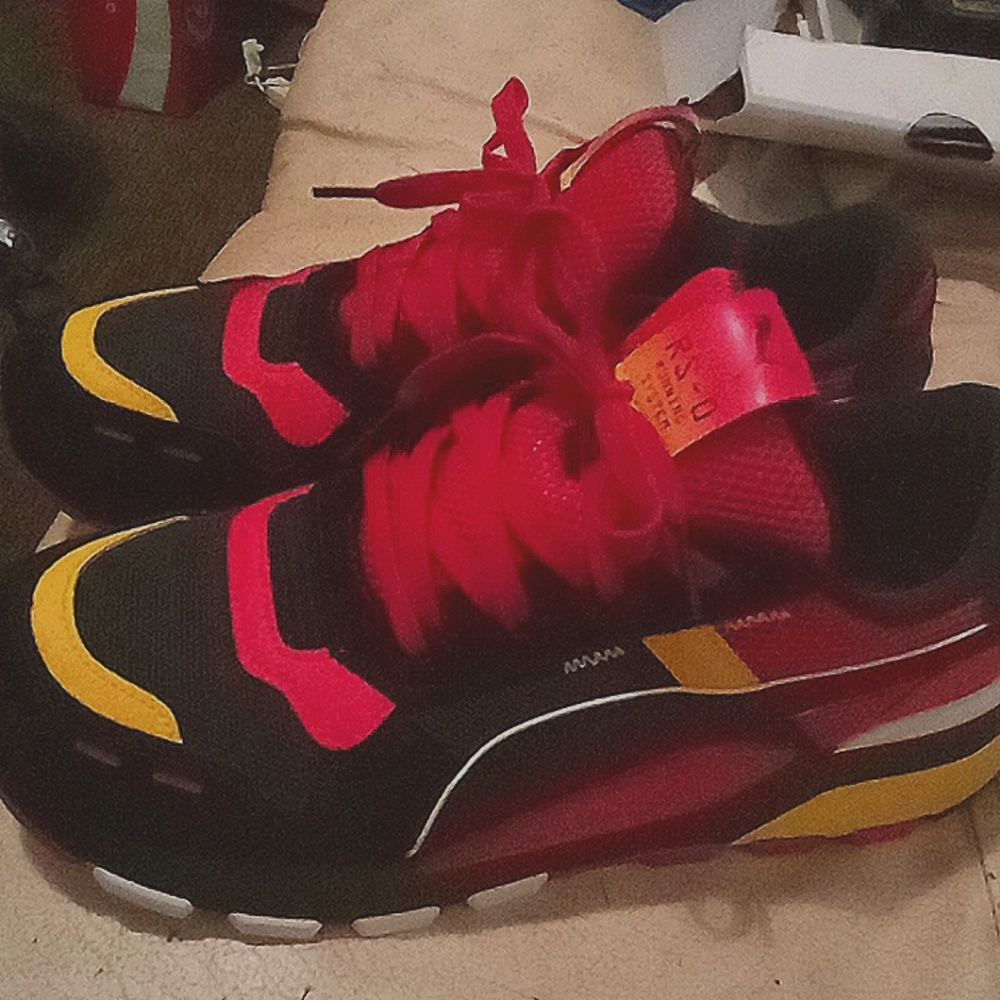 New Pumas